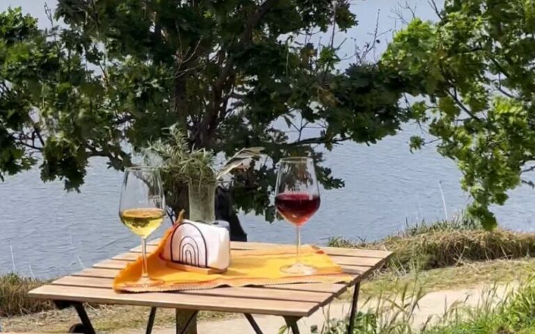 Vineyard aperitif