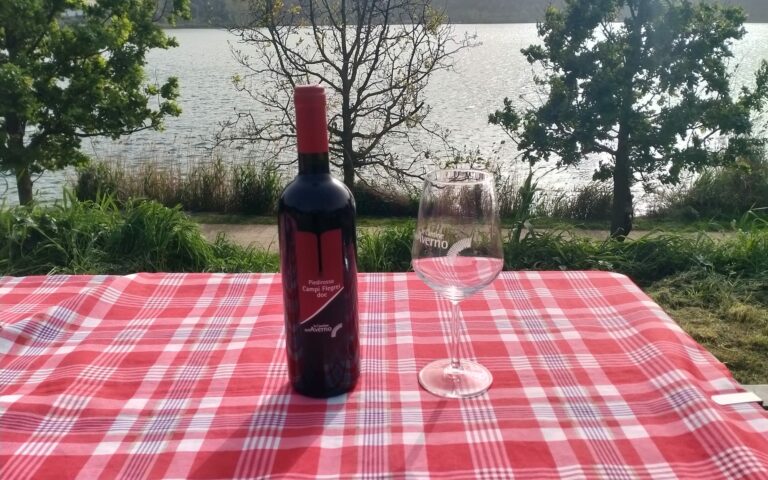 Lunch in the Vineyard